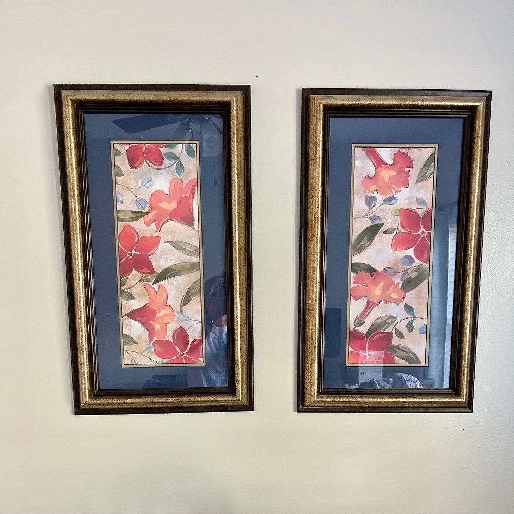 Beautiful set of framed prints